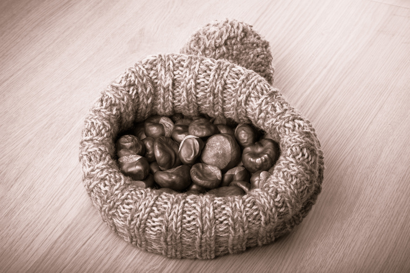 waste removal waste collection